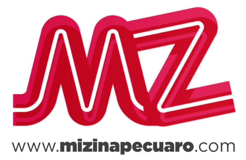 MiZinapecuaro.com