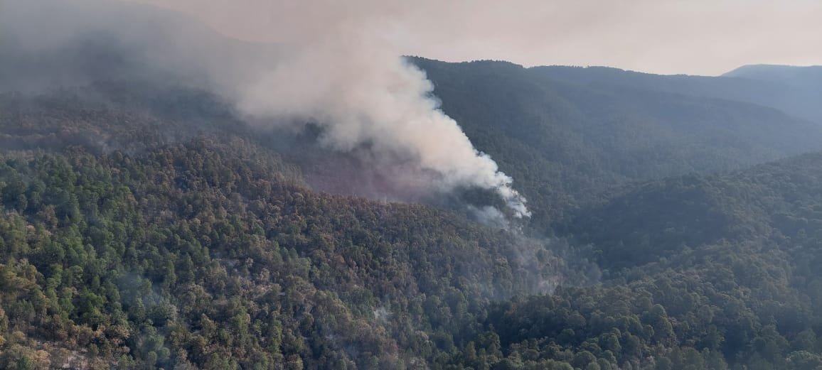 Helicóptero combate incendio forestal en Zinapécuaro; controlado un 80 %